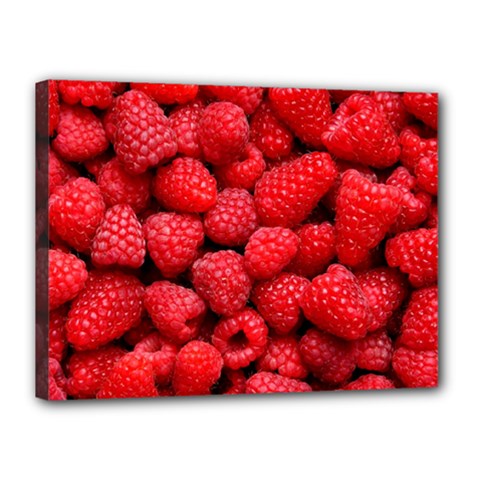 Raspberries 2 Canvas 16  X 12  by trendistuff