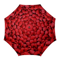 Raspberries 2 Golf Umbrellas by trendistuff