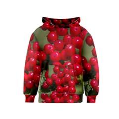 Red Berries 2 Kids  Pullover Hoodie by trendistuff