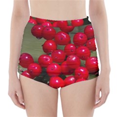 Red Berries 2 High-waisted Bikini Bottoms by trendistuff