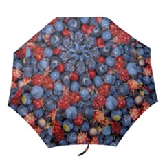 Wild Berries 1 Folding Umbrellas by trendistuff