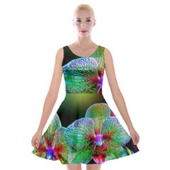 Alien Orchids Floral Art Photograph Velvet Skater Dresses