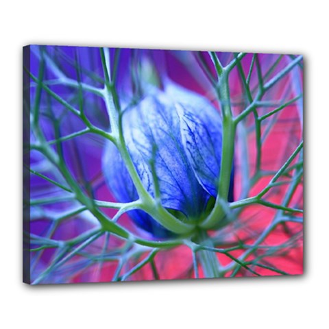 Blue Flowers With Thorns Canvas 20  x 16 