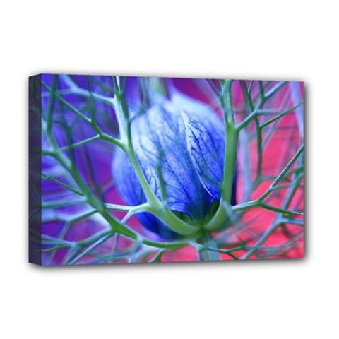 Blue Flowers With Thorns Deluxe Canvas 18  x 12  