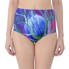 Blue Flowers With Thorns High-Waist Bikini Bottoms