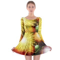 Celebration Colorful Fireworks Beautiful Long Sleeve Skater Dress