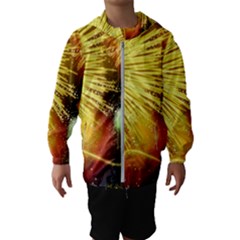 Celebration Colorful Fireworks Beautiful Hooded Wind Breaker (kids) by Sapixe