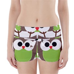 Clip Art Animals Owl Boyleg Bikini Wrap Bottoms
