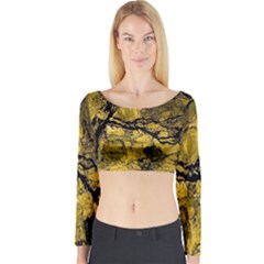 Colorful The Beautiful Of Traditional Art Indonesian Batik Pattern Long Sleeve Crop Top