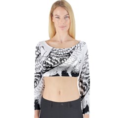 Animal Bird Forest Nature Owl Long Sleeve Crop Top