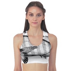 Animal Fish Ocean Sea Sports Bra