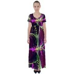 Plant Purple Green Leaves Garden High Waist Short Sleeve Maxi Dress by Nexatart