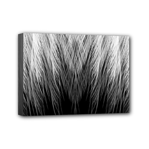 Feather Graphic Design Background Mini Canvas 7  X 5  by Sapixe