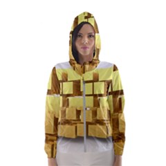 Gold Bars Feingold Bank Hooded Wind Breaker (women) by Sapixe