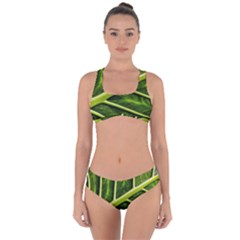 Leaf Dark Green Criss Cross Bikini Set