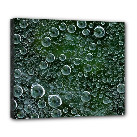 Morning Dew Deluxe Canvas 24  X 20  
