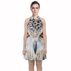 Owl Face Velvet Halter Neckline Dress  by Sapixe