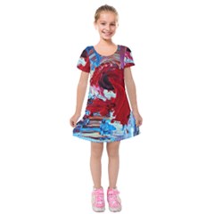 Dscf2258 Point Of View Kids  Short Sleeve Velvet Dress by bestdesignintheworld