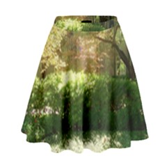 Highland Park 19 High Waist Skirt by bestdesignintheworld