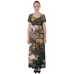 Highland Park 18 High Waist Short Sleeve Maxi Dress by bestdesignintheworld
