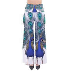 Peacock Bird Peacock Feathers So Vintage Palazzo Pants