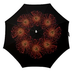 Red Flower Blooming In The Dark Straight Umbrellas by Sapixe