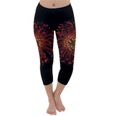 Red Flower Blooming In The Dark Capri Winter Leggings  by Sapixe