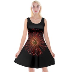 Red Flower Blooming In The Dark Reversible Velvet Sleeveless Dress by Sapixe