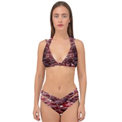 Red Lentils Double Strap Halter Bikini Set by Sapixe