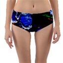 Balboa   Island On A Snd 3 Reversible Mid-Waist Bikini Bottoms View3