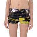 Highland Park 17 Reversible Boyleg Bikini Bottoms View3