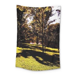 Highland Park 17 Small Tapestry by bestdesignintheworld