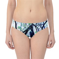 Highland Park 11 Hipster Bikini Bottoms by bestdesignintheworld