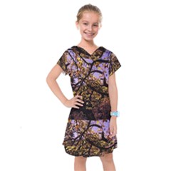 Highland Park 9 Kids  Drop Waist Dress by bestdesignintheworld