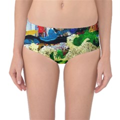 Catalina Island Not So Far 4 Mid-waist Bikini Bottoms by bestdesignintheworld