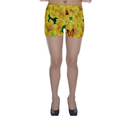 Springs First Arrivals Skinny Shorts