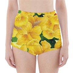 Springs First Arrivals High-Waisted Bikini Bottoms