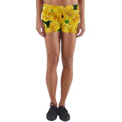 Springs First Arrivals Yoga Shorts