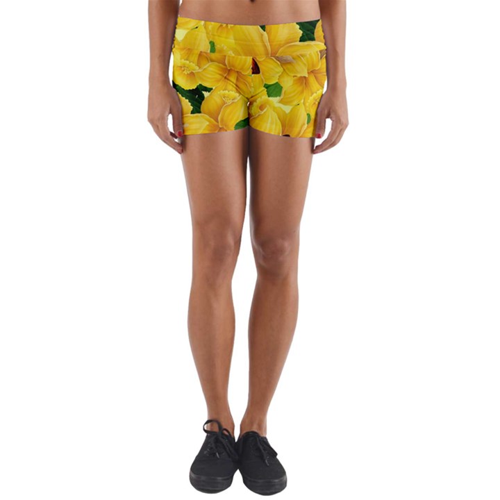 Springs First Arrivals Yoga Shorts