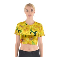 Springs First Arrivals Cotton Crop Top