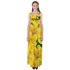 Springs First Arrivals Empire Waist Maxi Dress