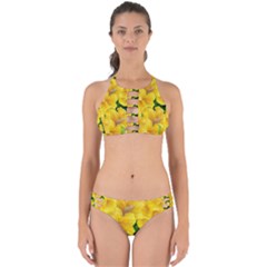 Springs First Arrivals Perfectly Cut Out Bikini Set