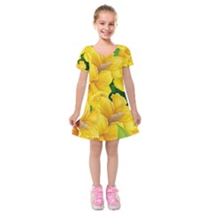 Springs First Arrivals Kids  Short Sleeve Velvet Dress