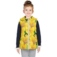 Springs First Arrivals Kid s Hooded Puffer Vest