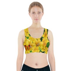 Springs First Arrivals Sports Bra With Pocket