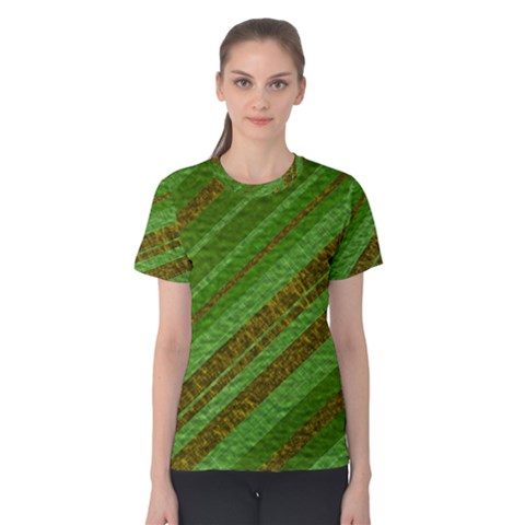 Stripes Course Texture Background Women s Cotton Tee by Sapixe