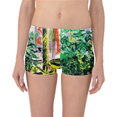 plant in the room  Boyleg Bikini Bottoms