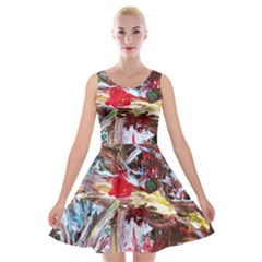 Dscf2301 -eden garden Velvet Skater Dresses