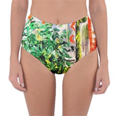 Dscf2188 -- plant in the room Reversible High-Waist Bikini Bottoms