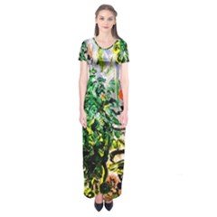 Dscf2188 -- plant in the room Short Sleeve Maxi Dress